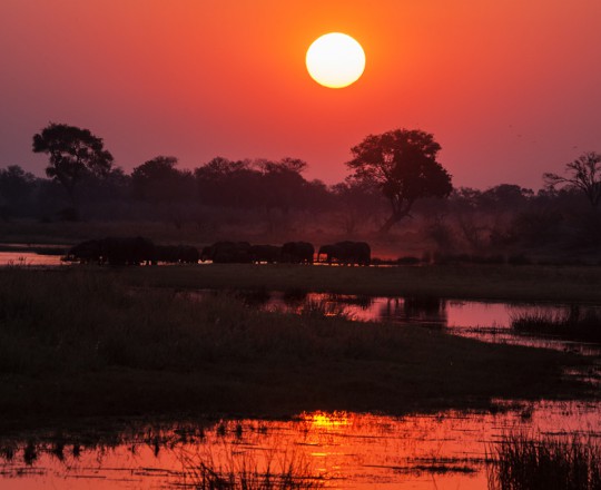 Sonnenuntergang | Botswana