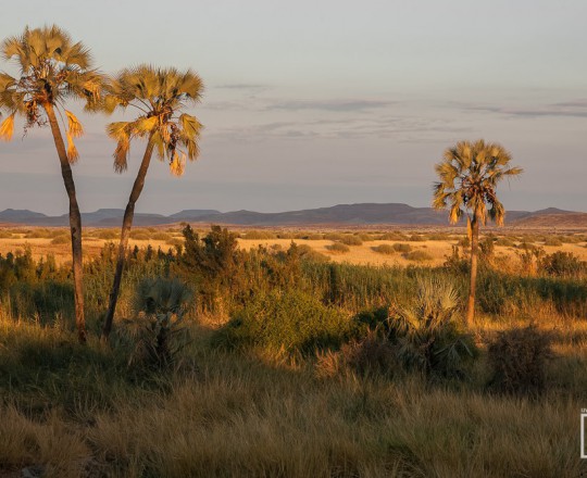 Damararegion| Namibia